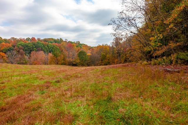 exterior space with a wooded view