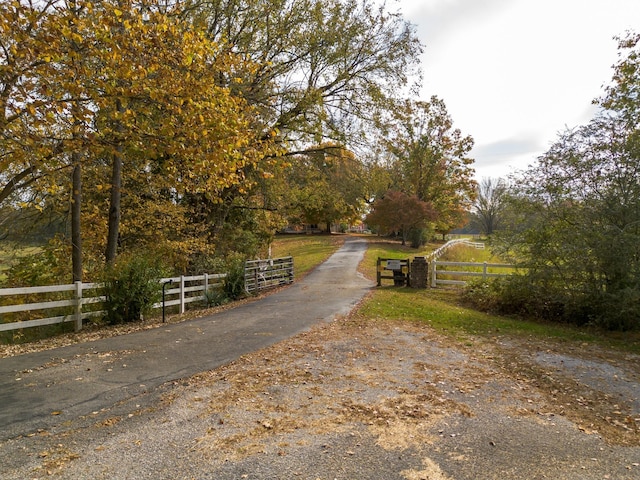 view of road featuring aphalt driveway