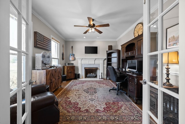 office space featuring wood finished floors, a fireplace with flush hearth, ornamental molding, and a ceiling fan