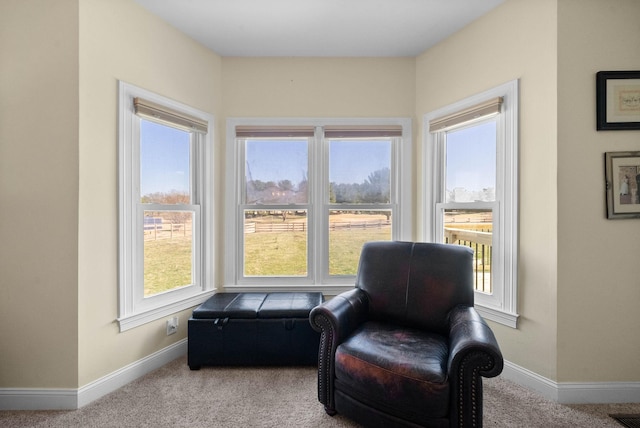 sitting room with carpet flooring, plenty of natural light, and baseboards