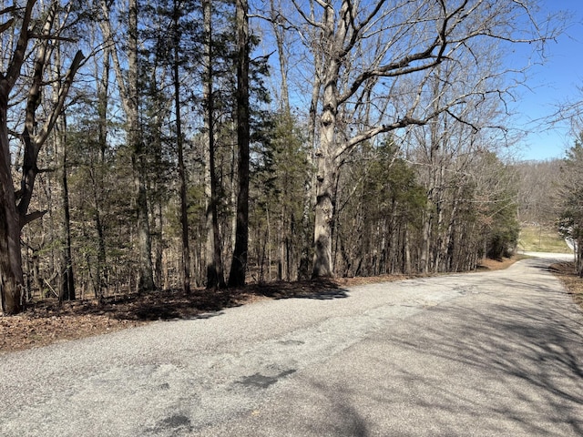 0 Eva Harbor Rd, Eva TN, 38333 land for sale