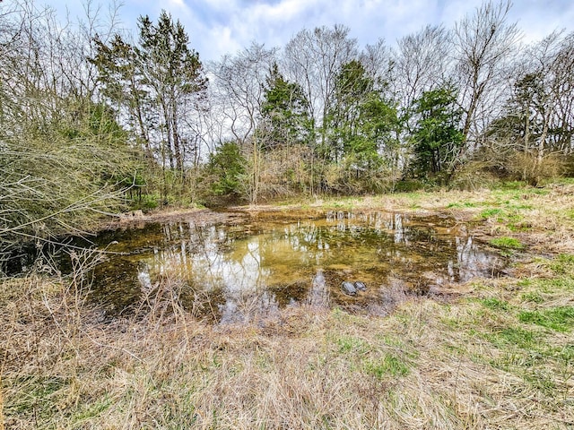 view of water feature