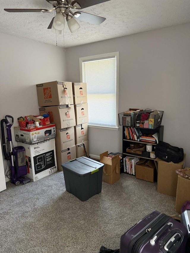 storage room featuring a ceiling fan