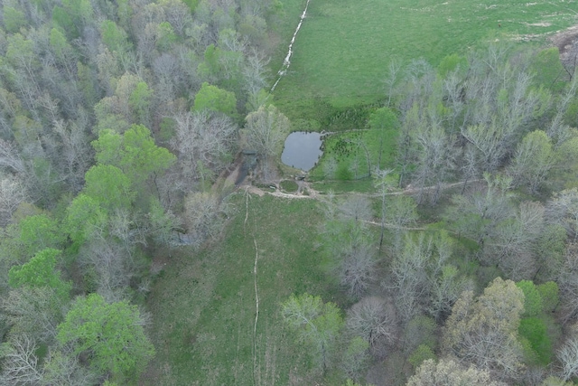 bird's eye view with a wooded view and a water view