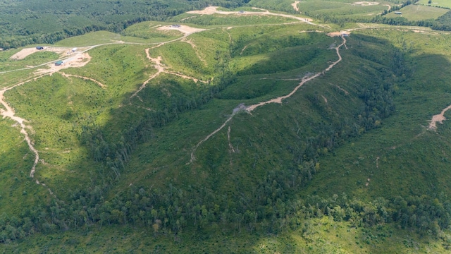 241 Springer, Hohenwald, TN 38462 - aerial view of property and surrounding area with rural landscape and a heavily wooded area