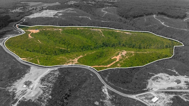 241 Springer, Hohenwald, TN 38462 - aerial view