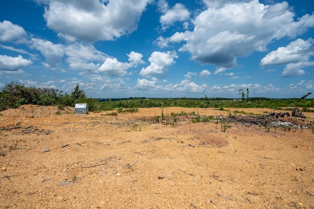 241 Springer, Hohenwald, TN 38462 - view of undeveloped land featuring rural landscape