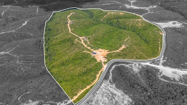 241 Springer, Hohenwald, TN 38462 - view of property location with property parcel outlined