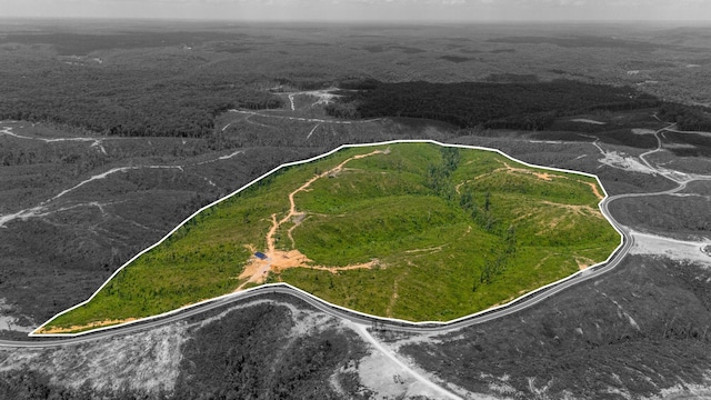 241 Springer, Hohenwald, TN 38462 - aerial view