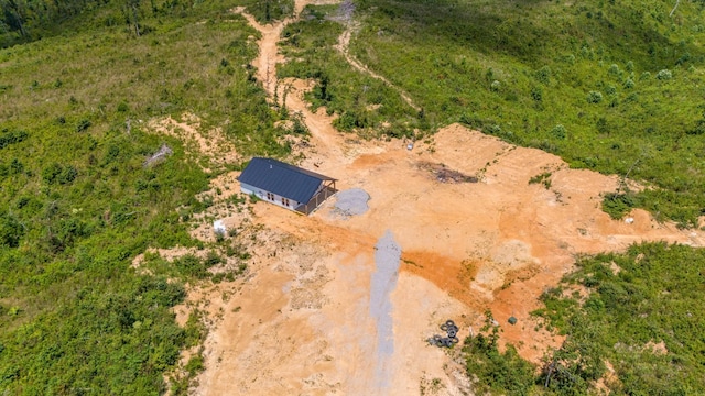 241 Springer, Hohenwald, TN 38462 - view from above of property