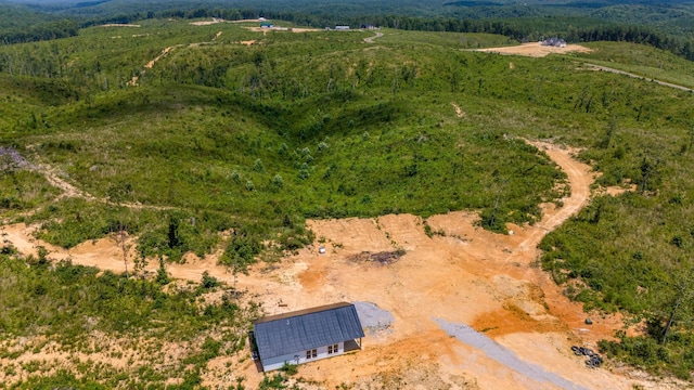 241 Springer, Hohenwald, TN 38462 - aerial view of sparsely populated area with a forest
