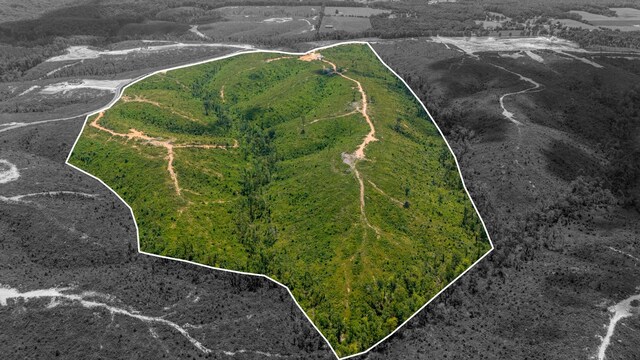 241 Springer, Hohenwald, TN 38462 - aerial view of sparsely populated area with property boundaries highlighted