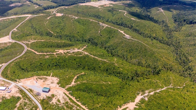 241 Springer, Hohenwald, TN 38462 - aerial view of property's location featuring a forest