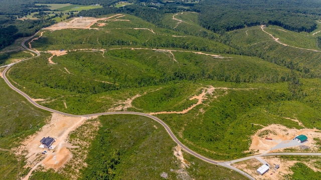 241 Springer, Hohenwald, TN 38462 - view of property location featuring a heavily wooded area