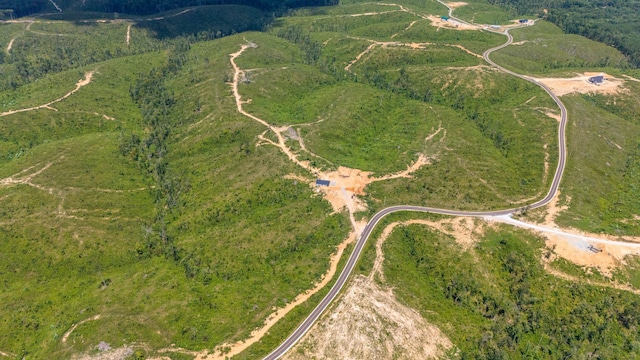 241 Springer, Hohenwald, TN 38462 - aerial overview of property's location with rural landscape