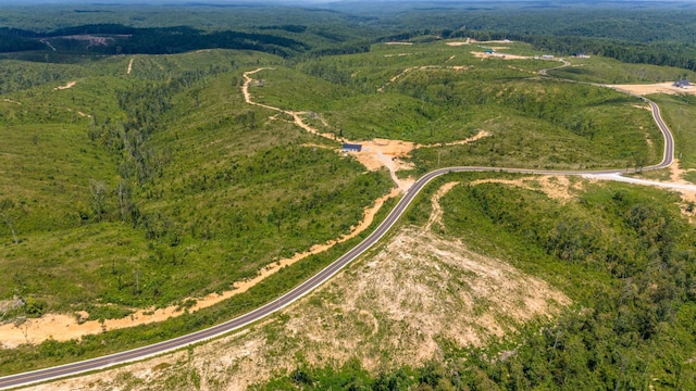 241 Springer, Hohenwald, TN 38462 - aerial overview of property's location featuring a heavily wooded area and rural landscape