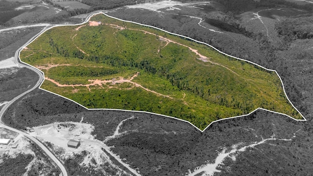 241 Springer, Hohenwald, TN 38462 - aerial view of property's location with property parcel outlined