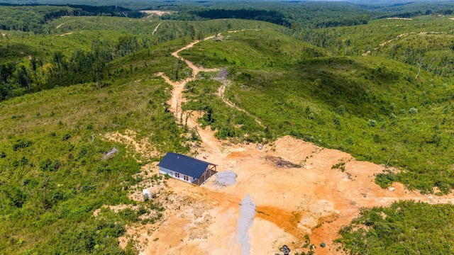 241 Springer, Hohenwald, TN 38462 - view of subject property featuring a forest