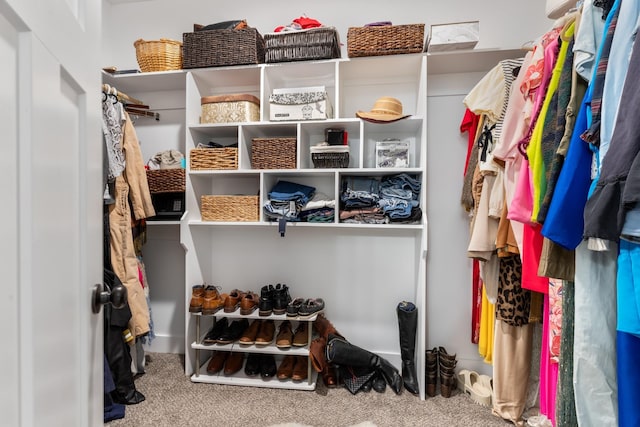 walk in closet with carpet floors