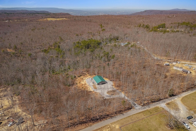 drone / aerial view featuring a mountain view