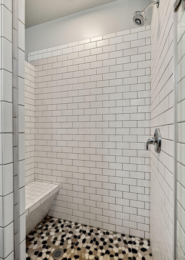 bathroom with a stall shower