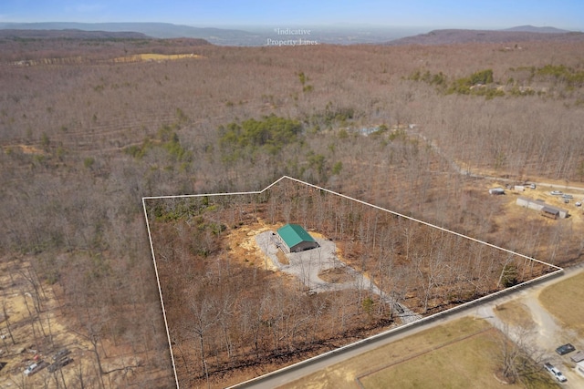 drone / aerial view featuring a mountain view