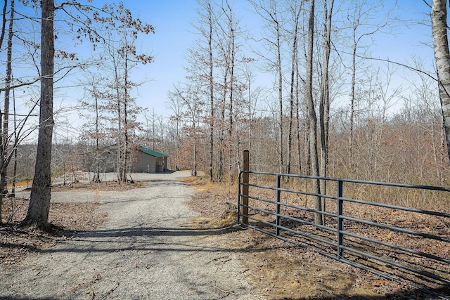 view of street featuring a gated entry, driveway, and a gate