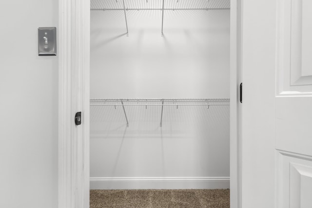 walk in closet with carpet