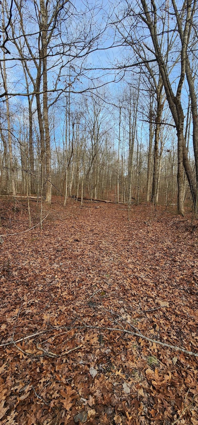 Listing photo 3 for 0 Hunziker Rd, Tracy City TN 37387