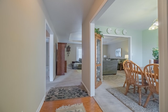 corridor with a raised ceiling, baseboards, and wood finished floors