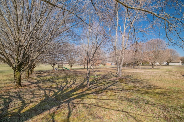 view of yard featuring playground community