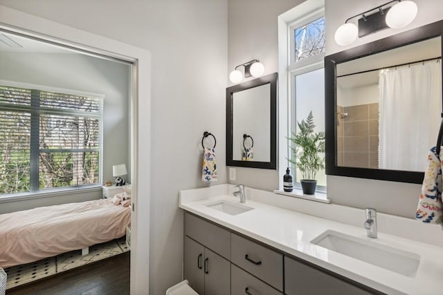 full bathroom featuring double vanity, wood finished floors, and a sink