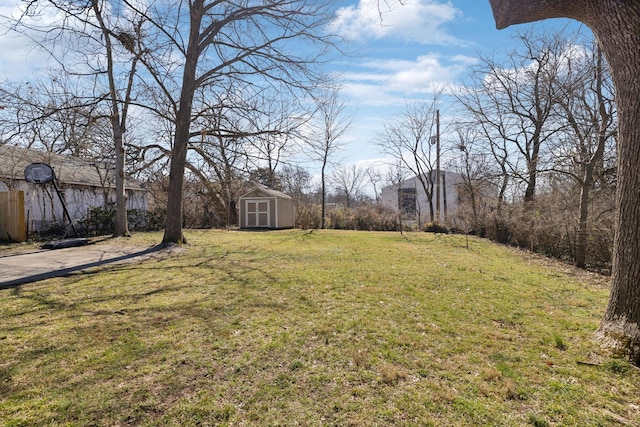 view of yard with an outdoor structure and a storage unit