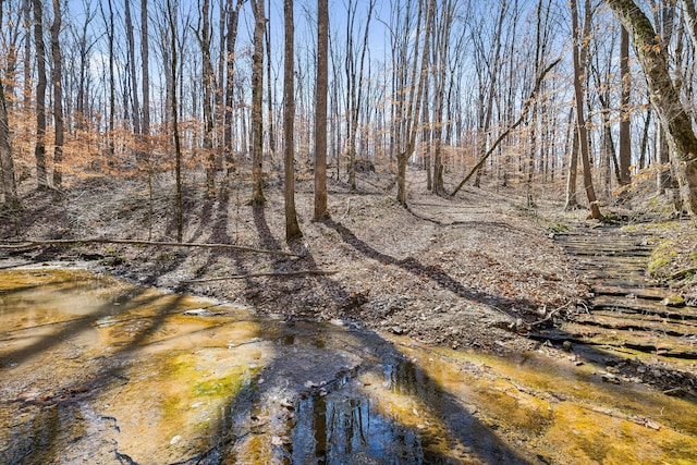 view of local wilderness