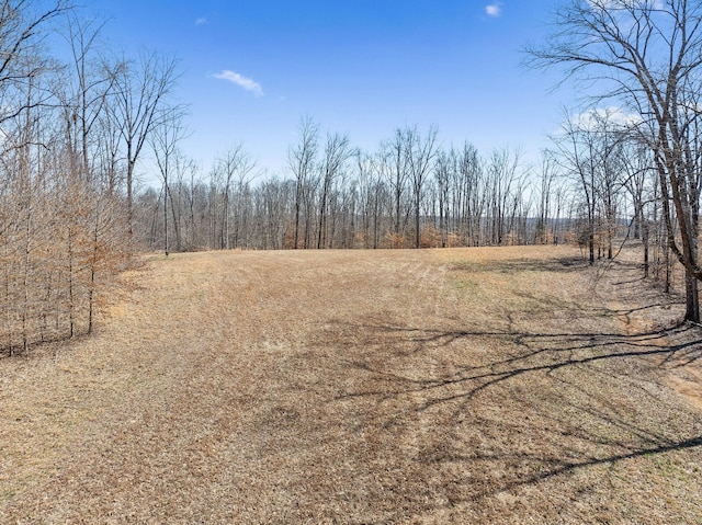 view of local wilderness