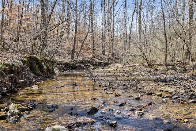 view of local wilderness