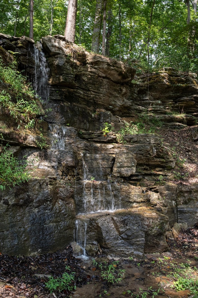 view of local wilderness with a wooded view