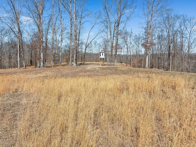 view of local wilderness