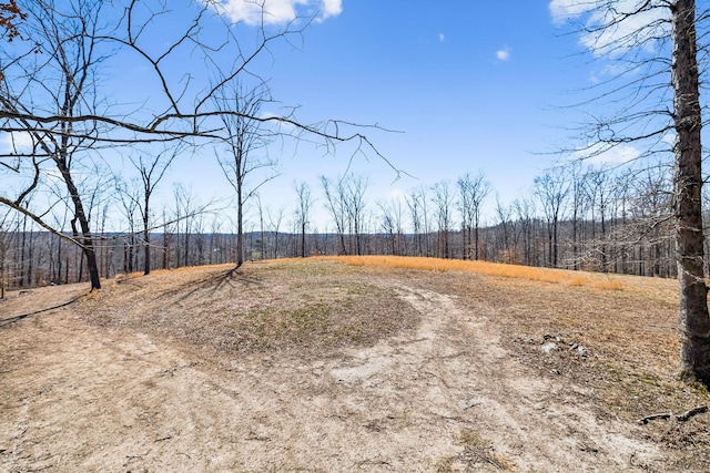 view of yard with a wooded view