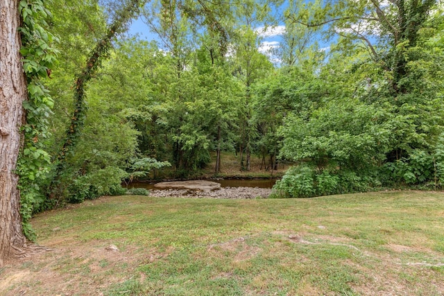 view of yard featuring a water view and a view of trees