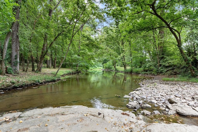 view of water feature with a view of trees