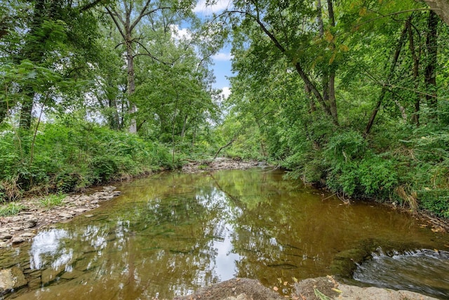 property view of water with a forest view