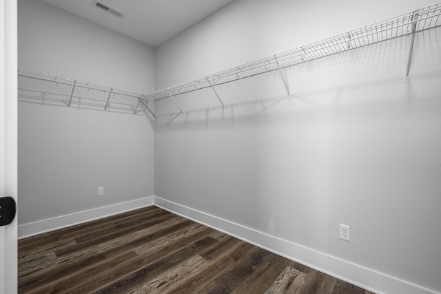 walk in closet with visible vents and dark wood-style flooring