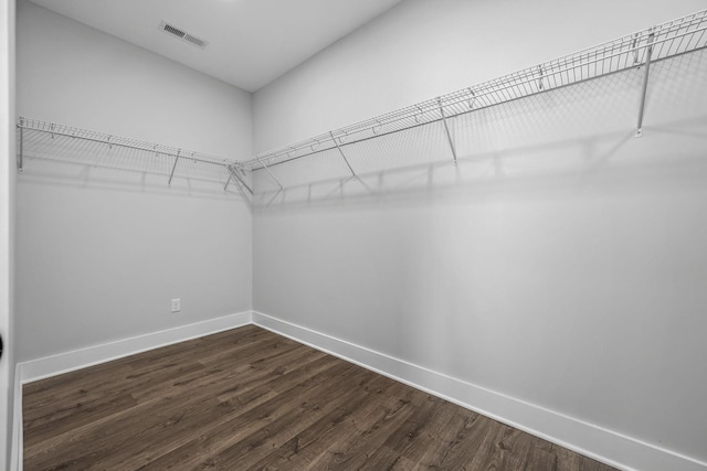 walk in closet with visible vents and dark wood-style flooring