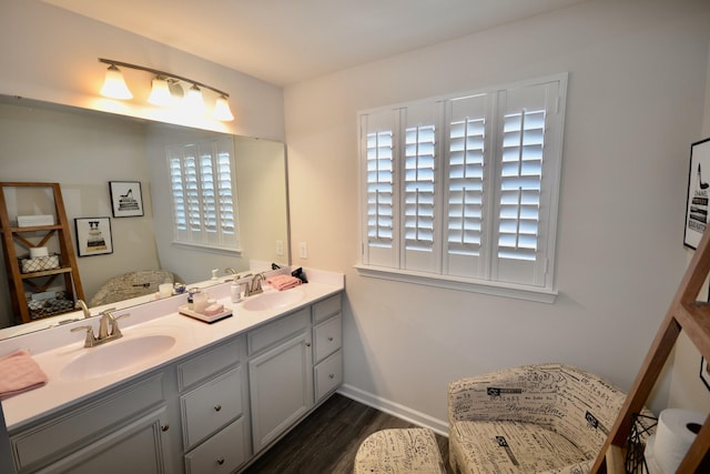 bathroom featuring double vanity, wood finished floors, baseboards, and a sink