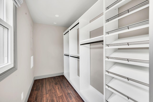 spacious closet featuring dark wood finished floors