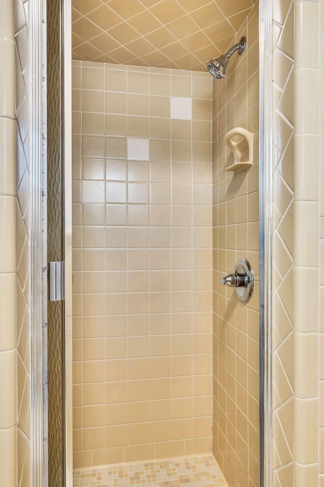 bathroom featuring a shower stall