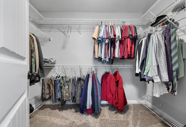 spacious closet with carpet flooring