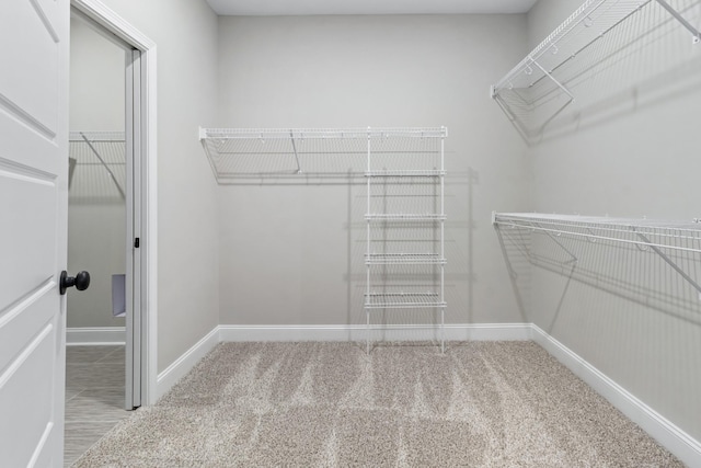 spacious closet featuring carpet floors