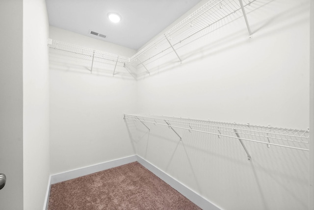 walk in closet with carpet and visible vents